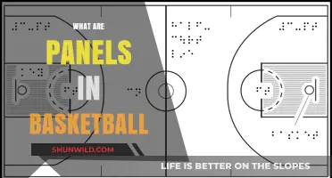 Basketball Panels: Understanding the Game's Foundation