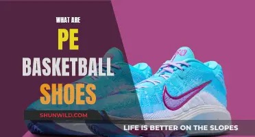 Best Shoes for Basketball Players: PE Shoes
