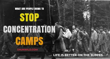 Global Efforts to End Modern Concentration Camps: Actions and Advocacy