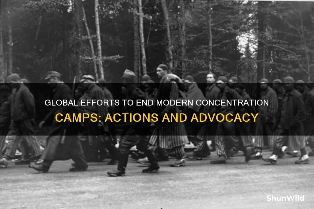 what are people doing to stop concentration camps
