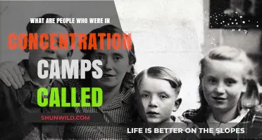 Survivors of Concentration Camps: Understanding Their Names and Legacies