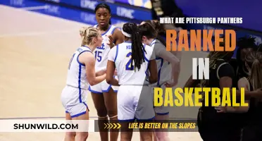 Pittsburgh Panthers Basketball: Ranked High and Rising Higher
