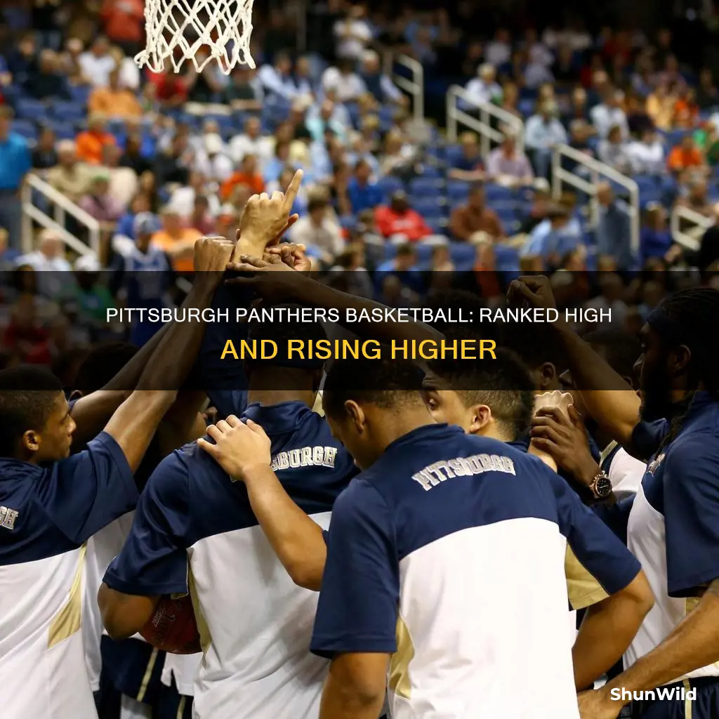 what are pittsburgh panthers ranked in basketball