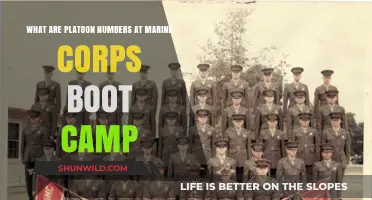 Understanding Platoon Numbers at Marine Corps Boot Camp: A Comprehensive Guide