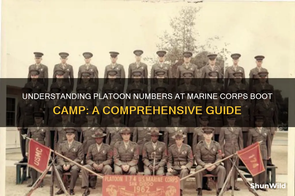 what are platoon numbers at marine corps boot camp