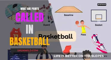 Basketball Point System: What's in a Name?