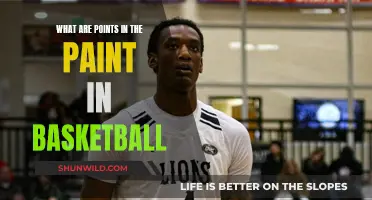 Understanding the Paint: Points and Strategies in Basketball