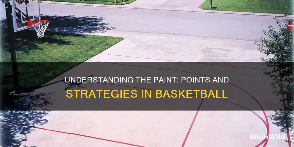 what are points in the paint in basketball