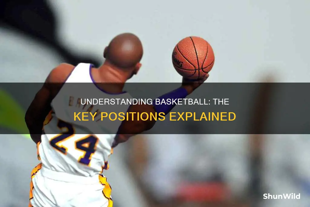 what are position in basketball
