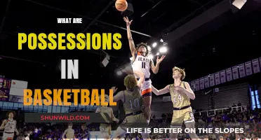 Possessions in Basketball: Understanding the Game's Core Metric