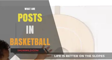 Understanding Basketball Posts: Their Roles and Importance