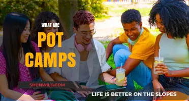Exploring Pot Camps: Understanding Their Purpose, Benefits, and Impact