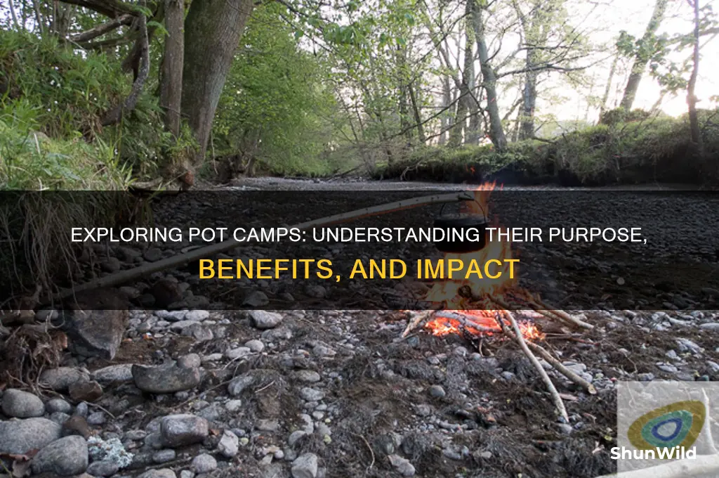 what are pot camps