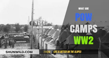 Unveiling the Harsh Realities of POW Camps During World War II