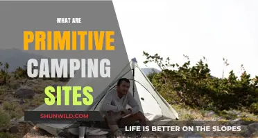 Exploring Primitive Camping: Back-to-Basics Outdoor Adventures Unveiled