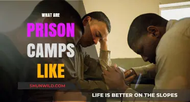 Inside Prison Camps: Harsh Realities, Daily Life, and Survival Stories