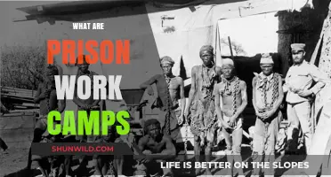 Understanding Prison Work Camps: Purpose, Conditions, and Impact Explained