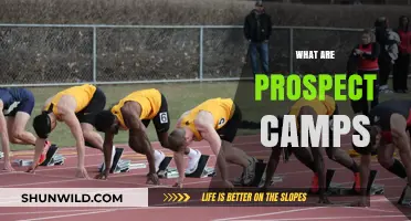 Understanding Prospect Camps: A Gateway to Athletic Opportunities