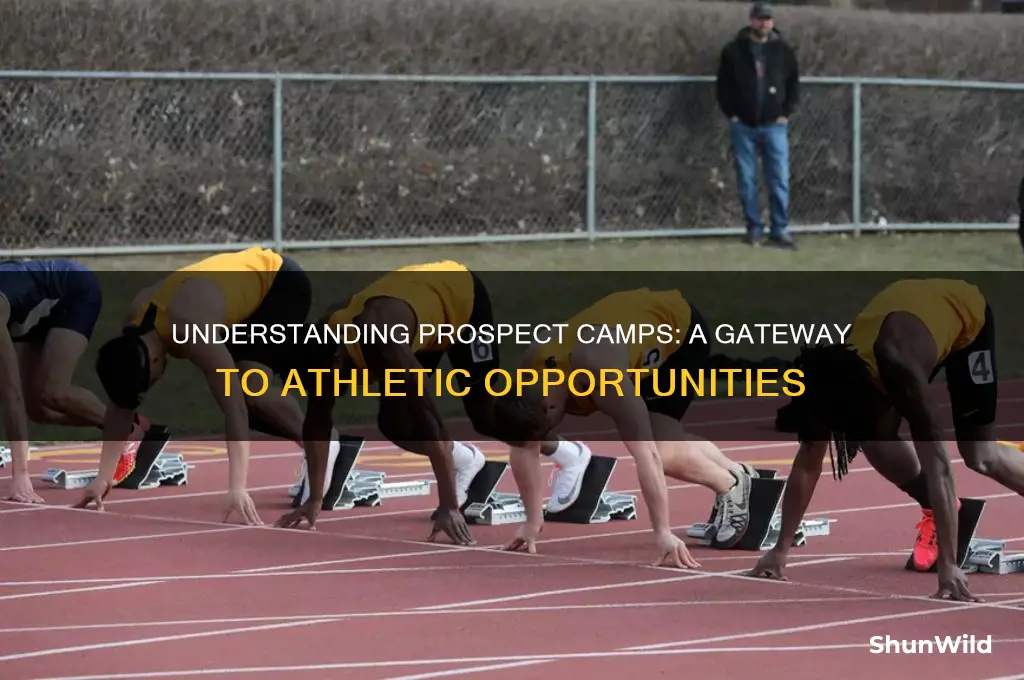 what are prospect camps