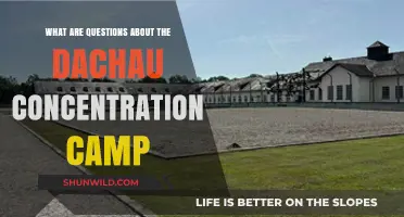 Uncovering Dachau: Exploring Key Questions About the Concentration Camp
