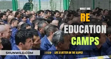 Understanding Re-Education Camps: Purpose, Impact, and Global Concerns
