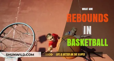 Understanding Basketball Rebounds: Strategies and Techniques