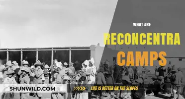 Reconcentration Camps: Understanding Their History, Purpose, and Impact