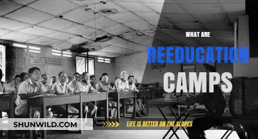 Understanding Reeducation Camps: Origins, Practices, and Global Concerns