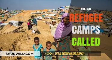 Understanding Refugee Camps: Names, Locations, and Their Global Significance