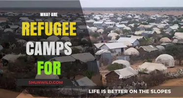 Understanding Refugee Camps: Purpose, Challenges, and Global Impact