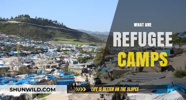 Understanding Refugee Camps: Purpose, Challenges, and Global Impact Explained