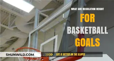 Basketball Goals: Regulation Heights for Different Levels