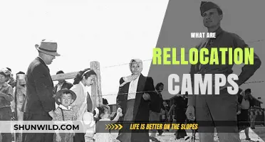 Understanding Relocation Camps: History, Purpose, and Impact Explained