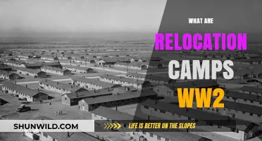 Relocation Camps During WWII: History, Impact, and Legacy Explained