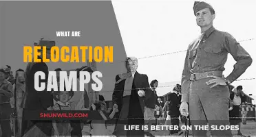 Understanding Relocation Camps: History, Purpose, and Impact Explained