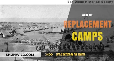 Understanding Replacement Camps: Purpose, History, and Modern Implications