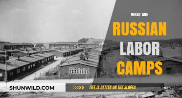 Unveiling the Dark History of Russian Labor Camps: A Comprehensive Guide