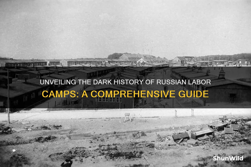 what are russian labor camps