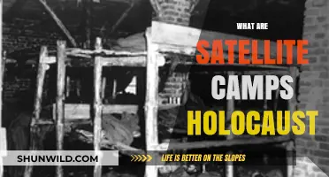 Understanding Satellite Camps: The Hidden Network of Holocaust Atrocities