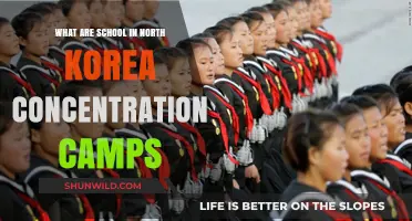 North Korea's Schools: Education or Hidden Concentration Camps?