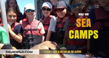 Exploring Sea Camps: Unique Coastal Adventures and Experiences