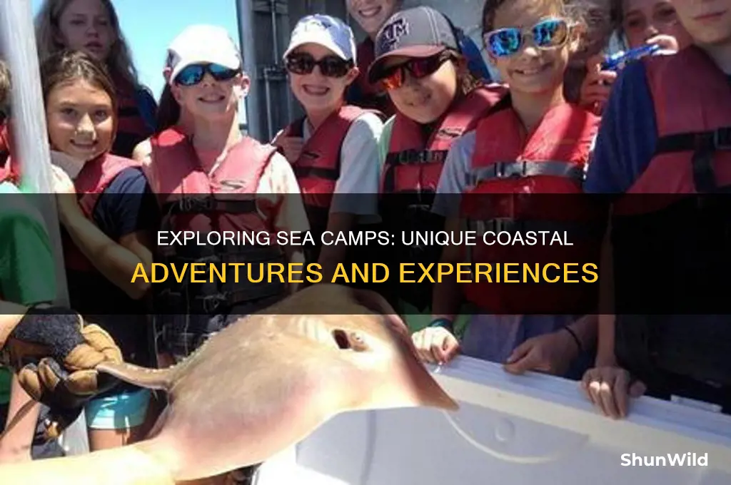 what are sea camps