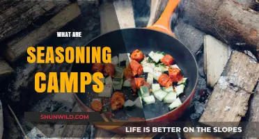 Seasoning Camps: Unlocking Culinary Secrets for Flavorful Cooking Mastery