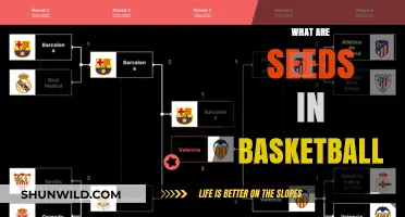 Understanding Basketball Seeds: Strategies and Advantages