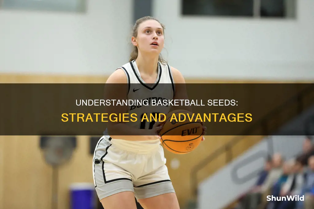 what are seeds in basketball