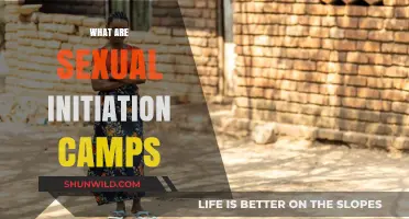 Unveiling Sexual Initiation Camps: Purpose, Practices, and Cultural Contexts