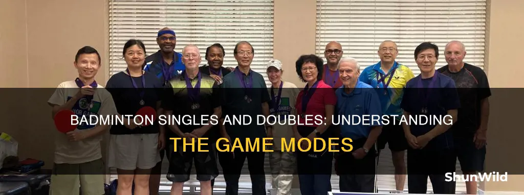 what are singles and doubles in badminton