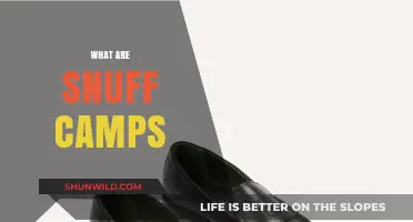 Unveiling the Dark Reality of Snuff Camps: A Chilling Exploration