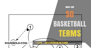 Basketball Lingo: Understanding the Game's Unique Language