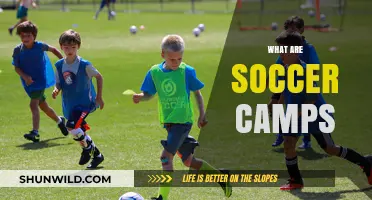 Discover the Benefits and Fun of Soccer Camps for Kids